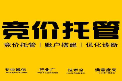 百度推广代理商服务优势案例分析